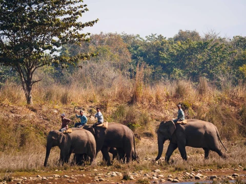 Bardia National Park Tour